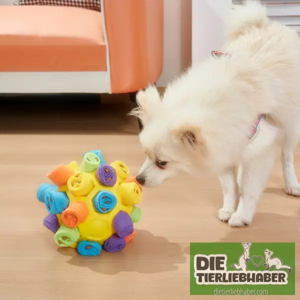 Hundeschnüffelball - Suchspiel