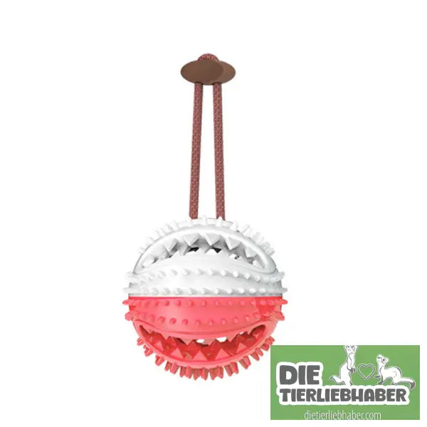 Hundespielzeug mit Silikonsaugnapf - F - Kauspielzeug für Hunde