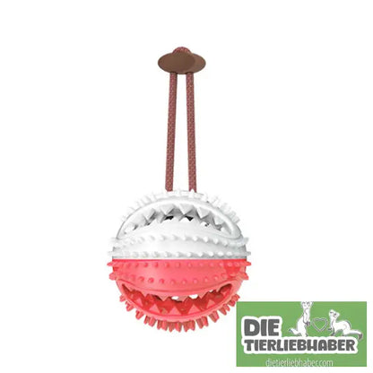 Hundespielzeug mit Silikonsaugnapf - F - Kauspielzeug für Hunde