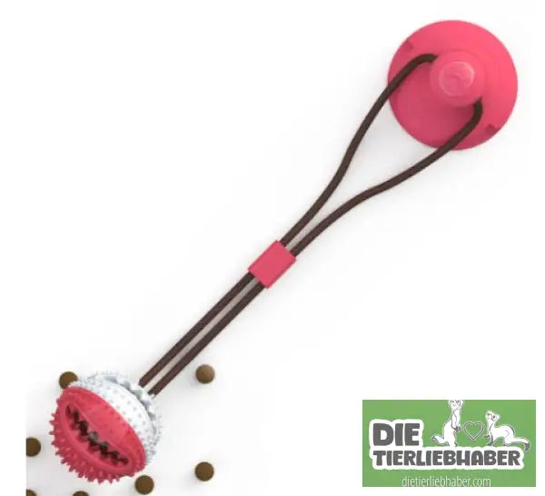 Hundespielzeug mit Silikonsaugnapf - H - Kauspielzeug für Hunde