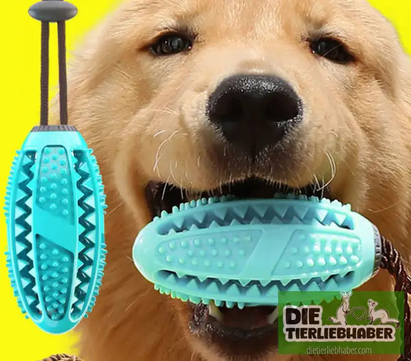 Hundespielzeug mit Silikonsaugnapf - I - Kauspielzeug für Hunde
