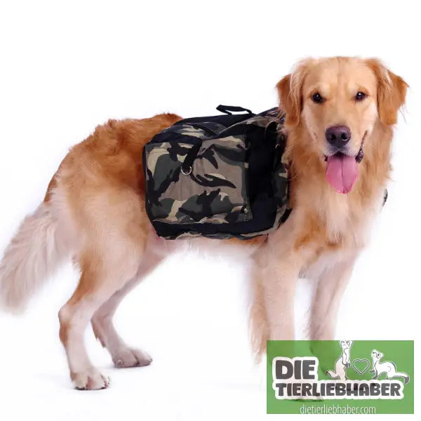 Hundetransportrucksack für Outdoor-Aktivitäten - Hunde Zubehör