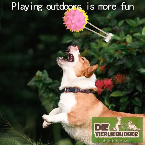 Interaktives Haustierspielzeug mehrfarbig - Spielzeug