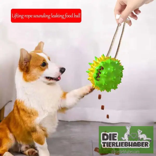 Interaktives Haustierspielzeug mehrfarbig - Spielzeug