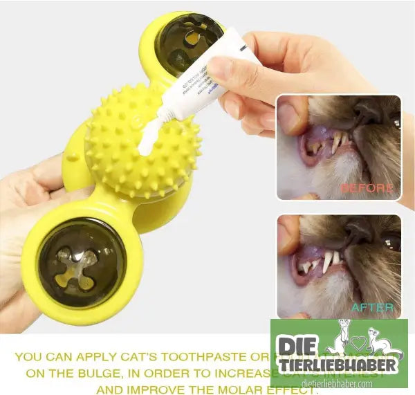 Interaktives Windmühlen-Katzenspielzeug - Spielzeug