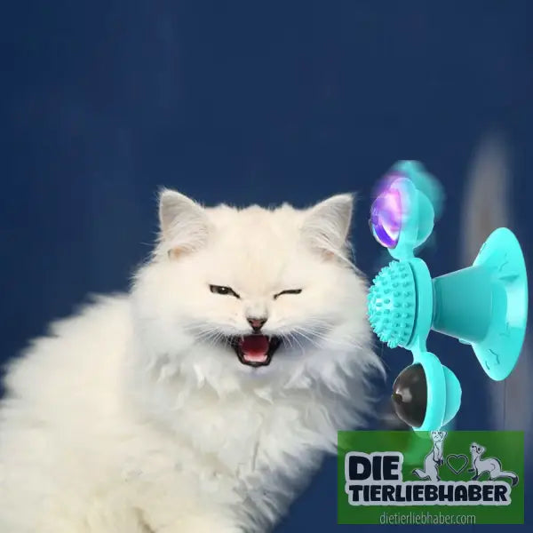 Interaktives Windmühlen-Katzenspielzeug - Spielzeug