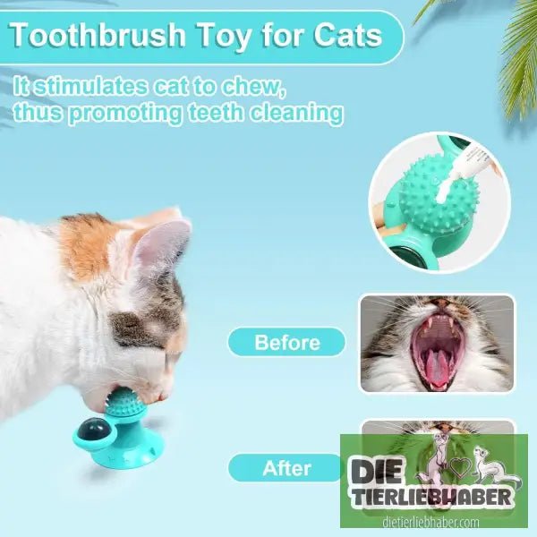 Interaktives Windmühlen-Katzenspielzeug - Spielzeug