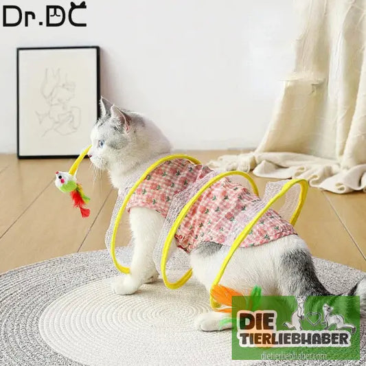 Katze Outdoor Katzenspielzeug - Spielzeug