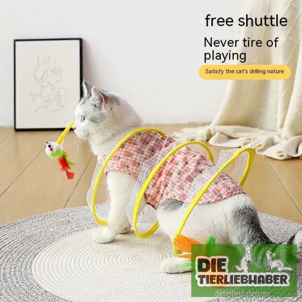 Katze Outdoor Katzenspielzeug - Spielzeug