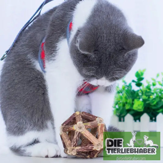 Katzenminze Ball - Tierbedarf