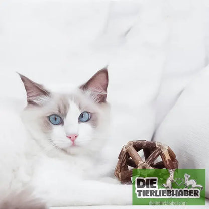 Katzenminze Ball - Tierbedarf