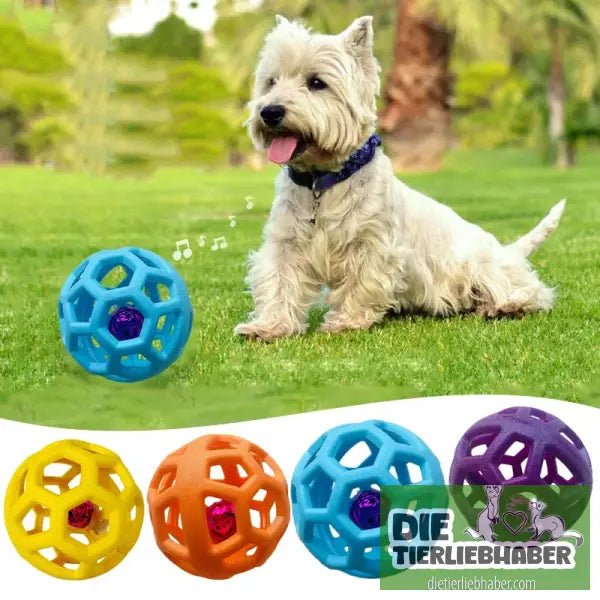 Kauball-Spielzeug für Hunde - Spielzeug