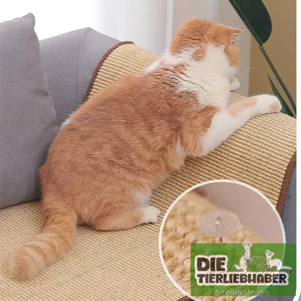 Kratzbrett aus Sisal für Katzen – langlebig & fusselfrei - Haustierbedarf