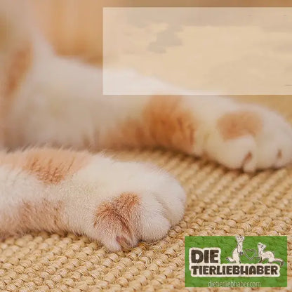 Kratzbrett aus Sisal für Katzen – langlebig & fusselfrei - Haustierbedarf