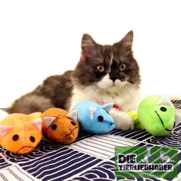 Langschwänzige Maus-Katzenspielzeuge - Spielzeug