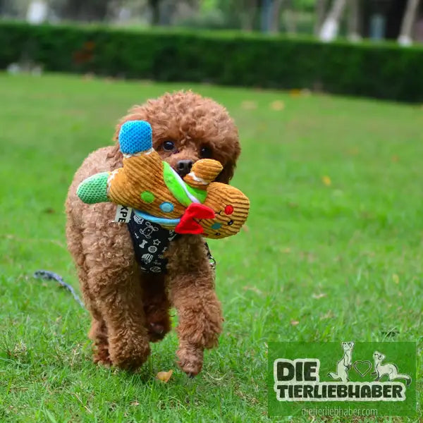 Lebkuchenmann Hundespielzeug - Blue / 23x20x5cm - Spielzeug