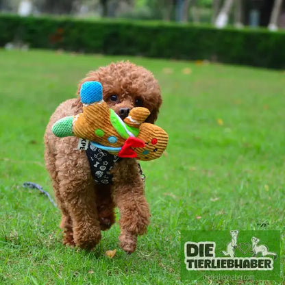 Lebkuchenmann Hundespielzeug - Blue / 23x20x5cm - Spielzeug