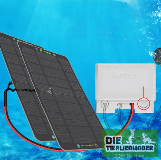 Leiser Solar-Sauerstoffbelüfter für Gartenteich - Aquaristik