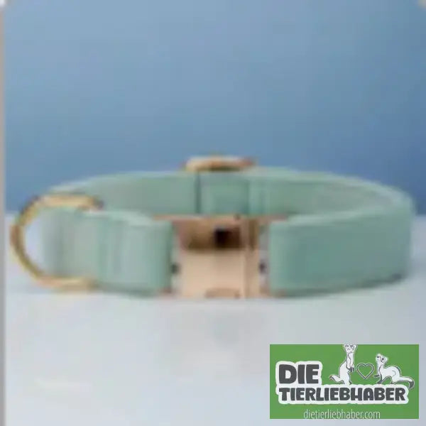 Mehrfarbiges Hundehalsband- und Leinenset aus Samt mit Schleife - Cyan / L - Hunde Zubehör