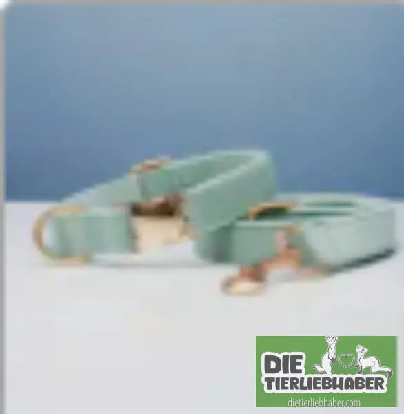 Mehrfarbiges Hundehalsband- und Leinenset aus Samt mit Schleife - Cyan set / L - Hunde Zubehör