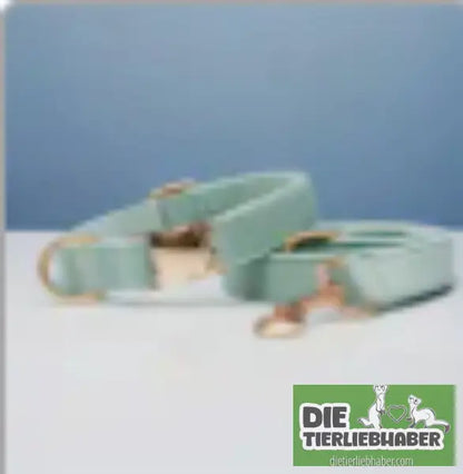 Mehrfarbiges Hundehalsband- und Leinenset aus Samt mit Schleife - Cyan set / L - Hunde Zubehör