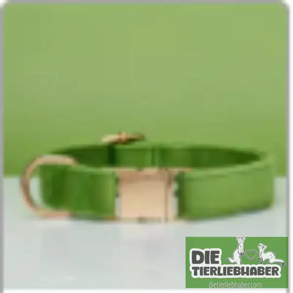 Mehrfarbiges Hundehalsband- und Leinenset aus Samt mit Schleife - Green / L - Hunde Zubehör