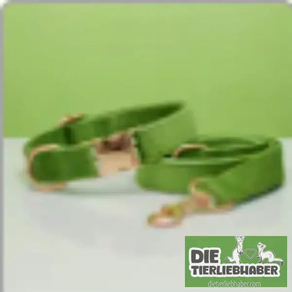 Mehrfarbiges Hundehalsband- und Leinenset aus Samt mit Schleife - Green set / L - Hunde Zubehör
