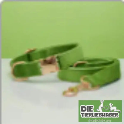 Mehrfarbiges Hundehalsband- und Leinenset aus Samt mit Schleife - Green set / L - Hunde Zubehör