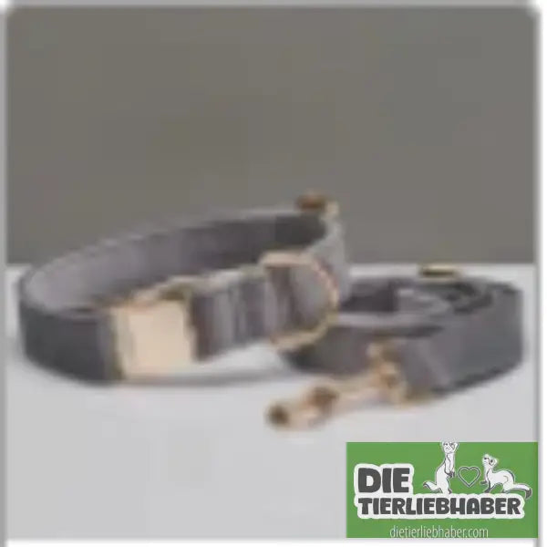Mehrfarbiges Hundehalsband- und Leinenset aus Samt mit Schleife - Grey set / L - Hunde Zubehör