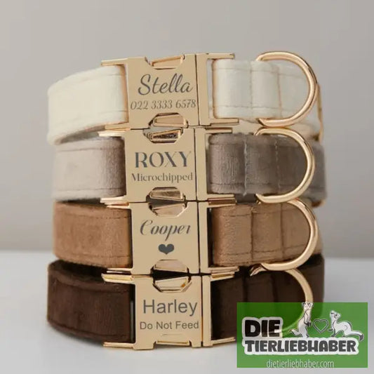 Mehrfarbiges Hundehalsband- und Leinenset aus Samt mit Schleife - Hunde Zubehör