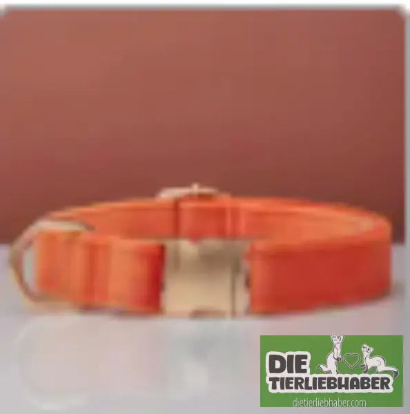 Mehrfarbiges Hundehalsband- und Leinenset aus Samt mit Schleife - Orange / L - Hunde Zubehör