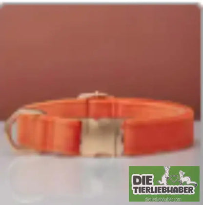 Mehrfarbiges Hundehalsband- und Leinenset aus Samt mit Schleife - Orange / L - Hunde Zubehör