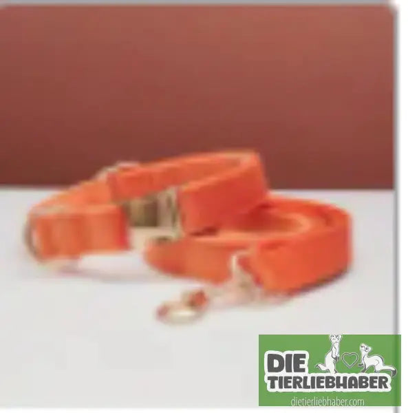 Mehrfarbiges Hundehalsband- und Leinenset aus Samt mit Schleife - Orange set / L - Hunde Zubehör