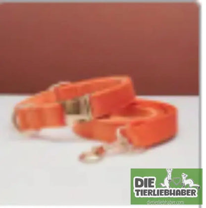Mehrfarbiges Hundehalsband- und Leinenset aus Samt mit Schleife - Orange set / L - Hunde Zubehör