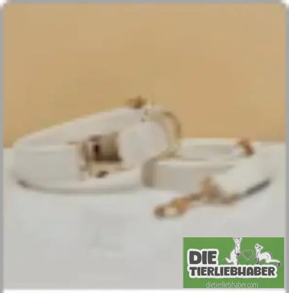 Mehrfarbiges Hundehalsband- und Leinenset aus Samt mit Schleife - White set / L - Hunde Zubehör
