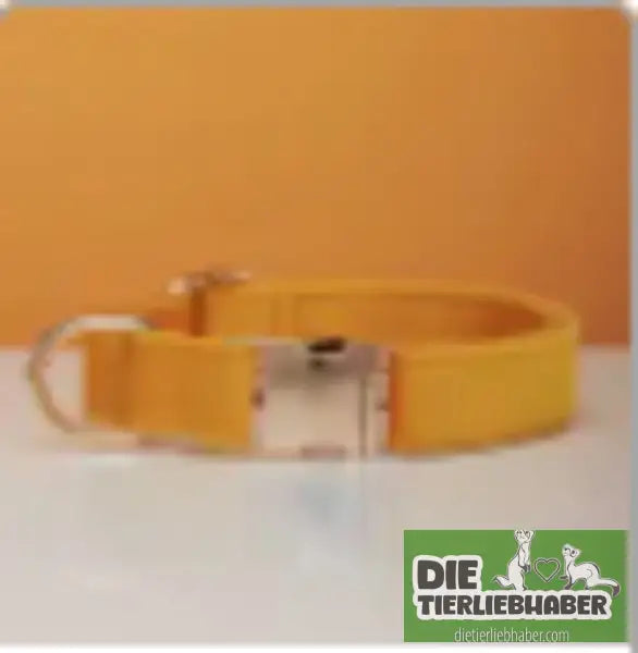 Mehrfarbiges Hundehalsband- und Leinenset aus Samt mit Schleife - Yellow / L - Hunde Zubehör