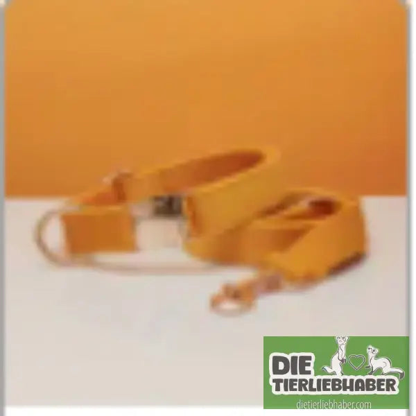 Mehrfarbiges Hundehalsband- und Leinenset aus Samt mit Schleife - Yellow set / L - Hunde Zubehör