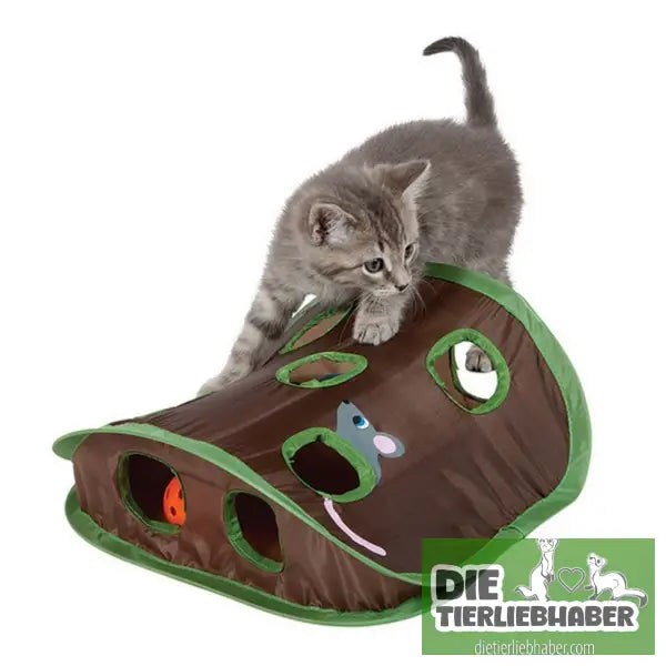 Niedliches interaktives Versteckspiel für Katzen - Green - Spielzeug