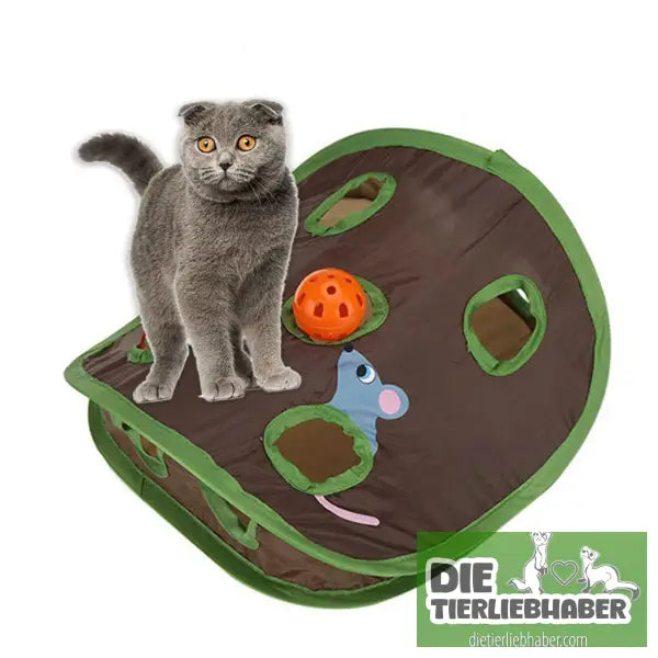 Niedliches interaktives Versteckspiel für Katzen - Green - Spielzeug