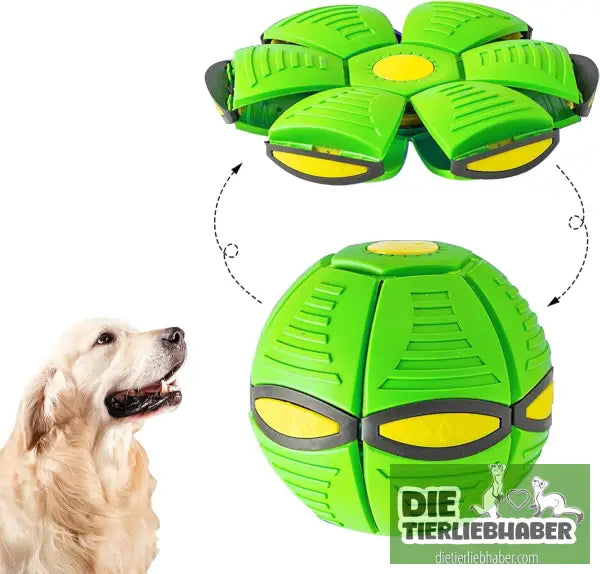 Outdoor Yard Hundespielzeug - Does not shine green - Spielzeug