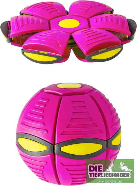 Outdoor Yard Hundespielzeug - Does not shine purple - Spielzeug