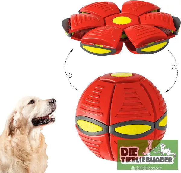 Outdoor Yard Hundespielzeug - Does not shine red - Spielzeug