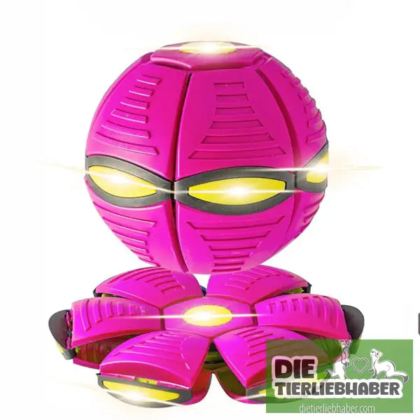 Outdoor Yard Hundespielzeug - Purple - Spielzeug