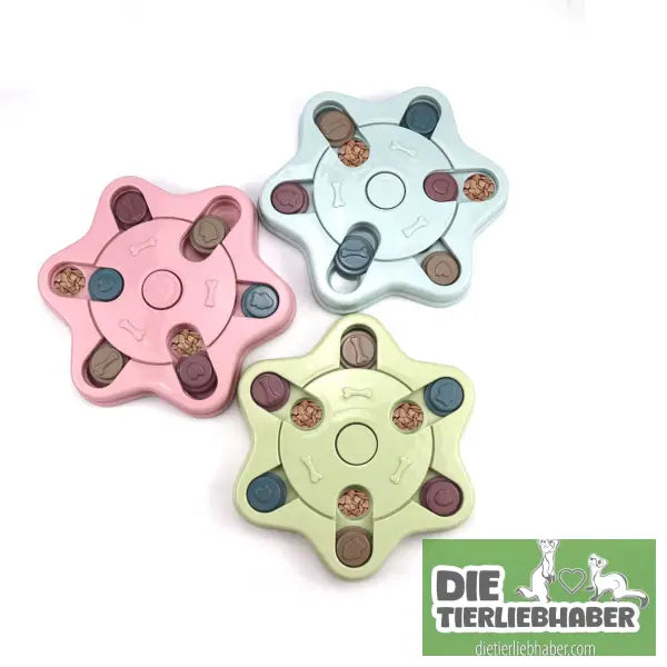 Pädagogisches Hundespielzeug - Blue - Suchspiel