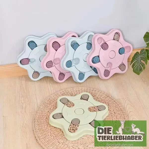 Pädagogisches Hundespielzeug - Light green - Suchspiel