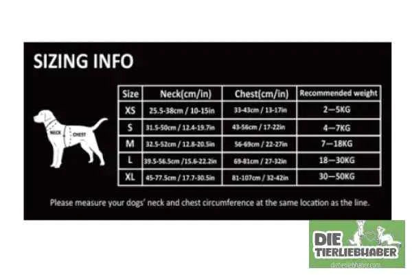 Perfektes Hundegeschirr für kleine und große Hunde – Komfort und Sicherheit für jeden Vierbeiner