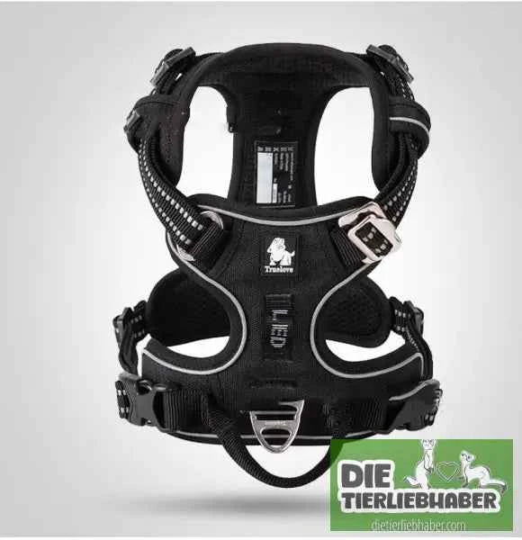 Perfektes Hundegeschirr für kleine und große Hunde – Komfort und Sicherheit für jeden Vierbeiner
