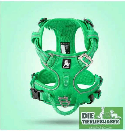 Perfektes Hundegeschirr für kleine und große Hunde – Komfort und Sicherheit für jeden Vierbeiner