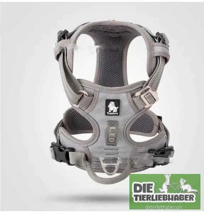 Perfektes Hundegeschirr für kleine und große Hunde – Komfort und Sicherheit für jeden Vierbeiner