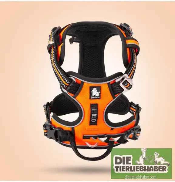 Perfektes Hundegeschirr für kleine und große Hunde – Komfort und Sicherheit für jeden Vierbeiner